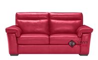 Cervo Leather Full Size Sofa Bed by Natuzzi Editions (B757)