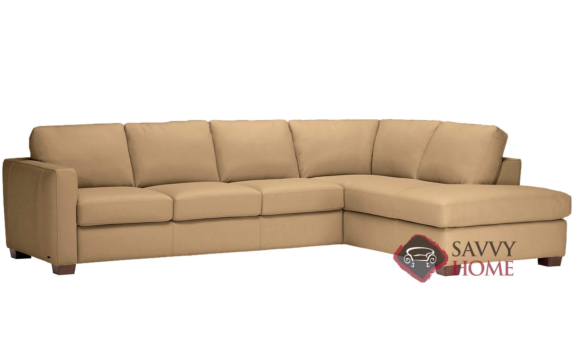 Leather Sleeper Sofas Chaise Sectional
