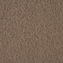 Beacon Mink